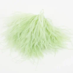 Zaza broche met veren in munt